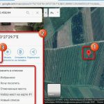 Как добавить компанию на Google Карты: пошаговая инструкция для бизнеса