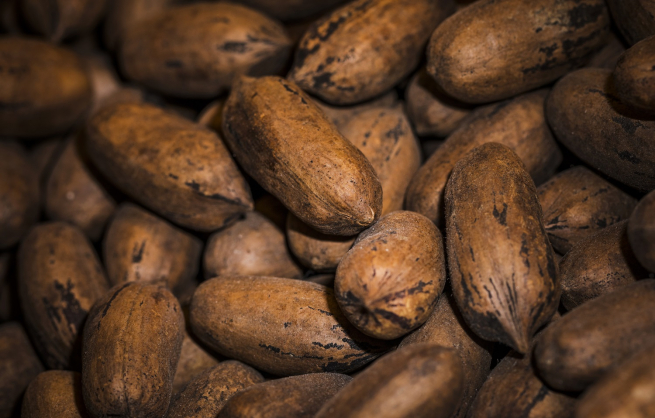 Мировые цены на какао-бобы опустились ниже психологической отметки