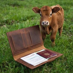 Башкирский фермер разделал корову и нашёл внутри кошелёк