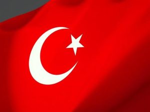 Посол США в Турции наделал недипломатических заявлений