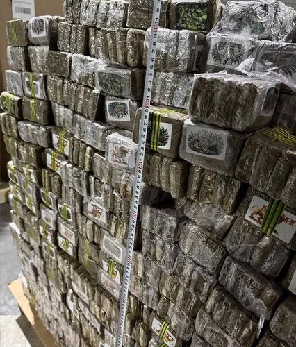 Белорусские таможенники пресекли крупнейшую в истории страны поставку наркотических и психотропных веществ из Евросоюза