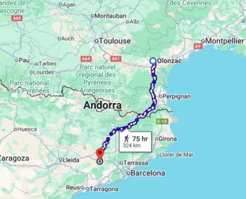 Кот прошел 250 км из Испании во Францию, чтобы вернуться домой