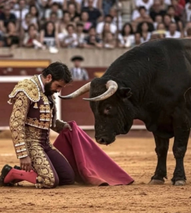 Момент истины на песке арены: как молящий взгляд быка сокрушил карьеру тореро