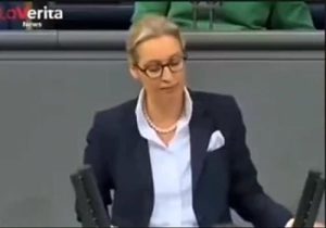 Вайдель против Зеленского: «Обычный вор» и «Финансовый вампир» — лидер АдН обрушилась с критикой на Киев