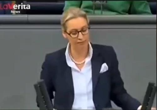 Вайдель против Зеленского: «Обычный вор» и «Финансовый вампир» — лидер АдН обрушилась с критикой на Киев