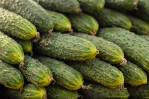 ФАС изучит ценообразование на огурцы в ритейле