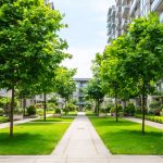 Как обустроить придомовую территорию: пошаговое руководство для комфортного и стильного двора