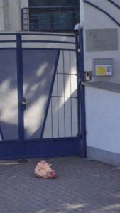 От слов к делу: после заявлений Зеленского об «адресе для ВСУ» неизвестные осквернили посольство Украины в Венгрии