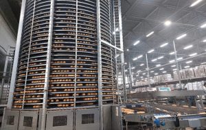 «Коломенский» удвоит инвестиции в развитие