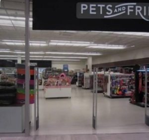 315 компаний обанкротились в Финляндии после закрытия границы с Россией