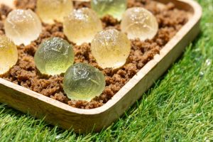 «ВкусВилл» выпустил мармелад со вкусом квашеной капусты (ФОТО)
